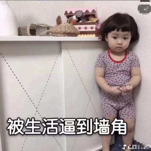 求一个小女孩揣手手表情包