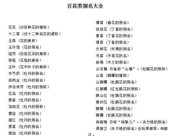 你见过美得不可方物的别称或雅称是什么?