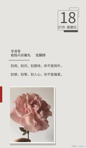 "别闹,别问,别期待,你不是例外.