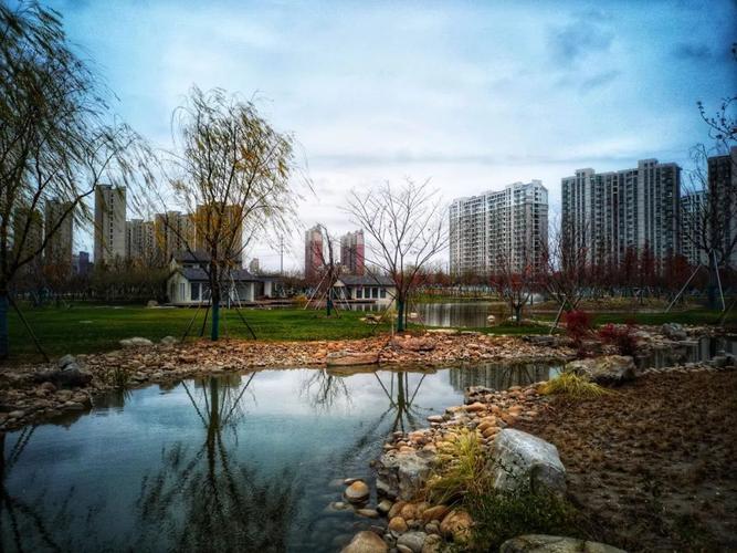 太仓这个公园今天正式开园!就在你家附近!_市民