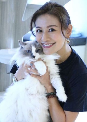 江若琳投资扭亏转盈运气好,婚后受宠从不做家务,至今遗憾未怀孕
