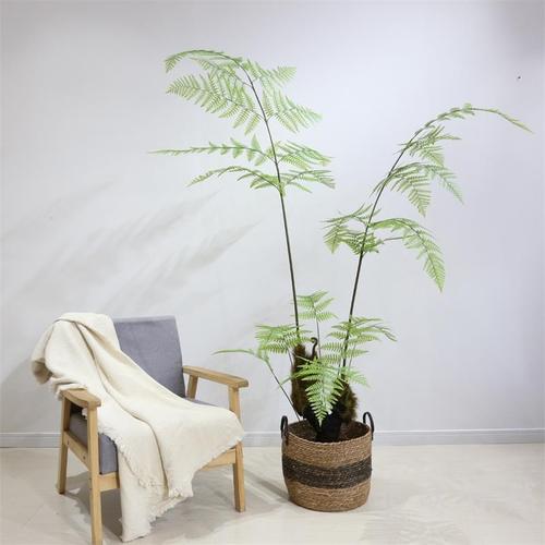 北欧ins日式仿真猴头蕨草蕨树装饰绿植摆件仿真植物盆景