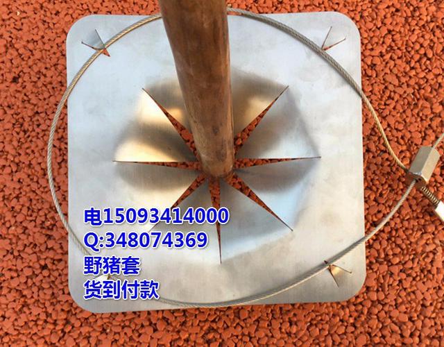 最新款弹簧野猪套视频