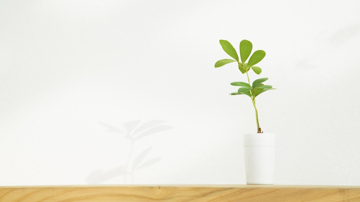 唯美家居静物简约风格桌面壁纸下载 第一辑