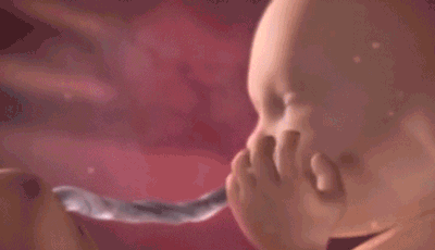 400_230gif 动态图 动图
