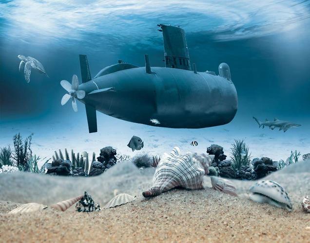 那海底在潜水艇的周围还有什么呢?