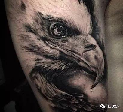 象征睿智的猫头鹰图案,真是每个风格都各有韵味和特点