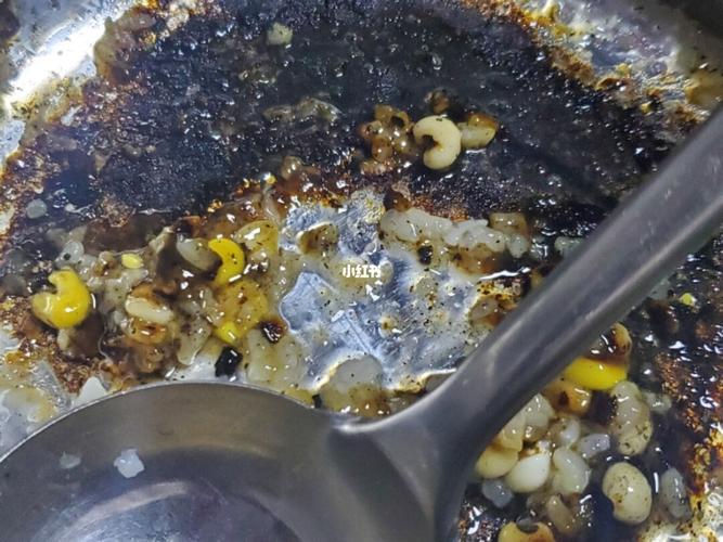 煮烧焦了呜呜呜_美食_美食_美食展示