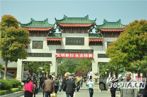 清明节合肥小蜀山迎来扫墓高潮 部分市民仍在偷偷烧纸