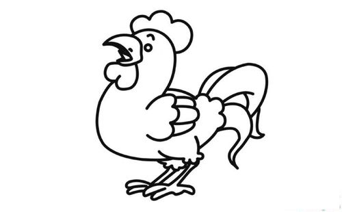 怎么样,你画的彩色大公鸡简笔画和图片中的一样漂亮吗?