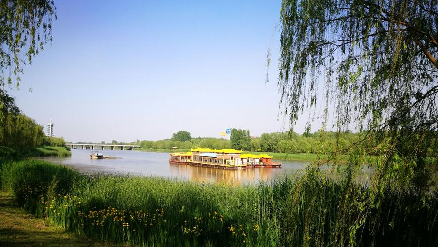 欢迎来我德州减河湿地公园