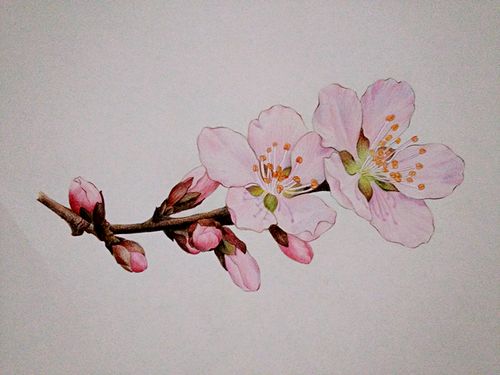 桃花仙人种桃树,又折花枝当酒钱. 酒醒只在花前坐,酒醉还须花下眠