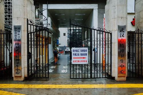 刚从六角亭精神病院出来,震撼我的不是疯子而是抑郁症