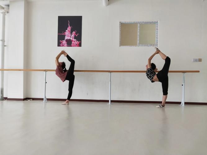 师资培训——2020年寒假舞蹈基本功(柔韧,跳翻类)集训课