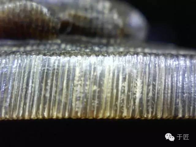 犀牛角的鉴别方法(一)