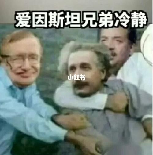 表情_爱因斯坦怎么样_新罗怎么样_素材_表情包