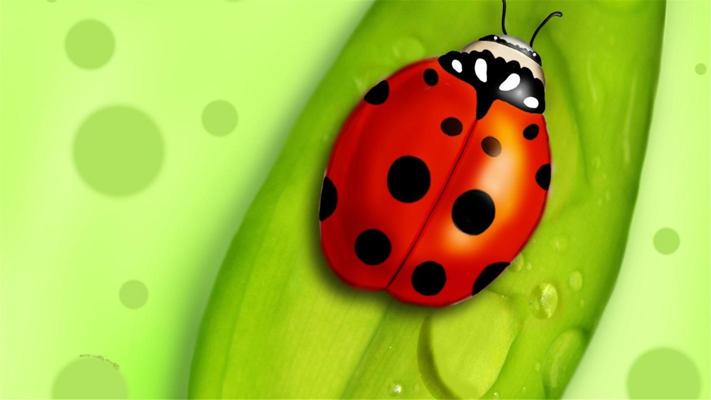可爱昆虫图片高清绿色护眼电脑桌面壁纸宽屏下载3