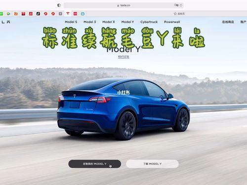 标准续航毛豆y来啦_毛豆_特斯拉怎么样_特斯拉modely