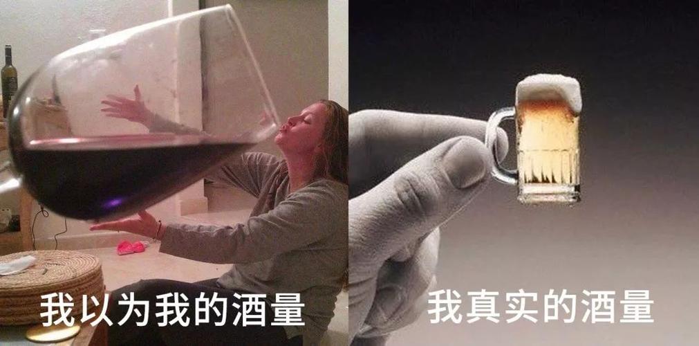 我的真实酒量vs