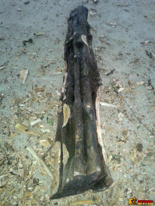 陈化柘木全部6折出售,物流到付