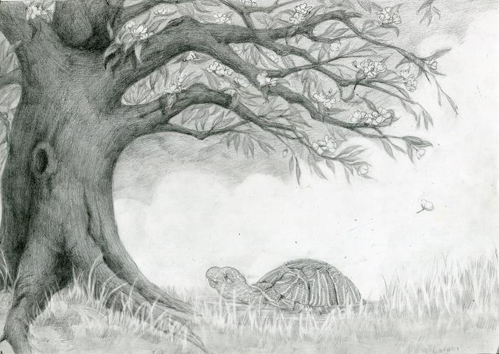 老树|插画|商业插画|椰耶也烨 - 原创作品 - 站酷