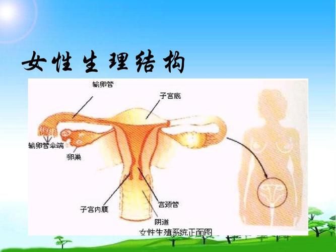 2018中队班队主题活动初中女生生理卫生讲座精品课件ppt