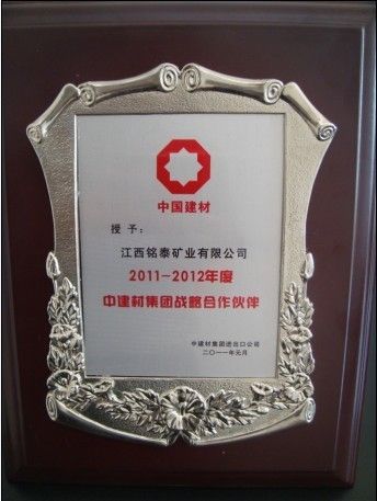 中建材集团战略合作伙伴