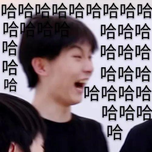 tnt表情包,不要被笑到了,姐妹们速速上楼!