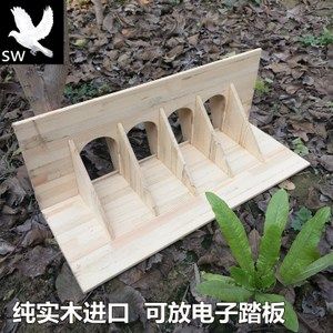 鸽子实木进口 信鸽赛鸽用品用具 欧式实木入口 可放电子踏板 包邮
