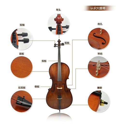 无角高级大提琴 柯巴胶花纹大贝司 初学用低音大提琴