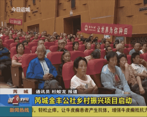 【乡村振兴进行时】芮城县金丰公社乡村振兴项目启动