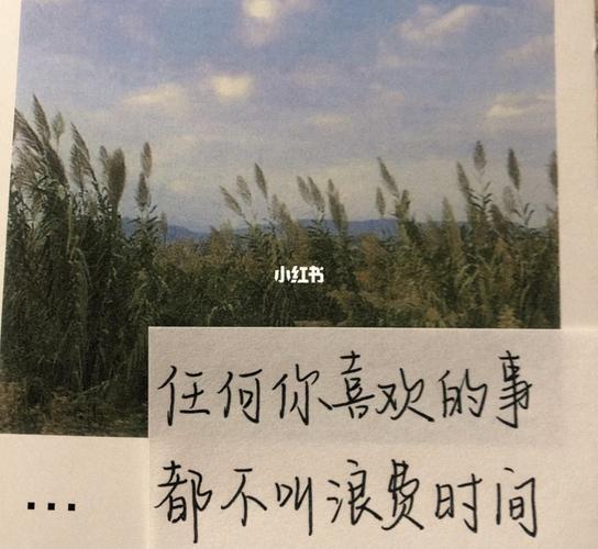 手写文案|治愈系文案|今日文案_文案_手写_治愈系_小王子_小王子怎么