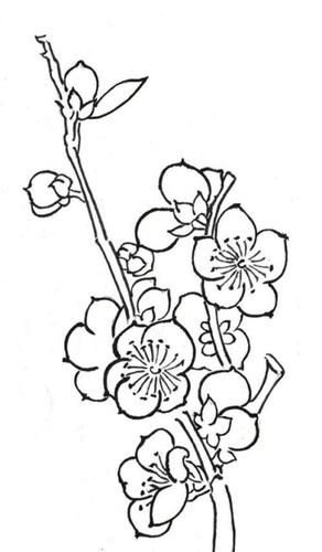 古诗梅花儿童简笔画