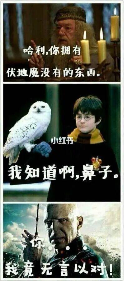 哈利波特稀有表情包_表情包_哈利波特_素材_表情包