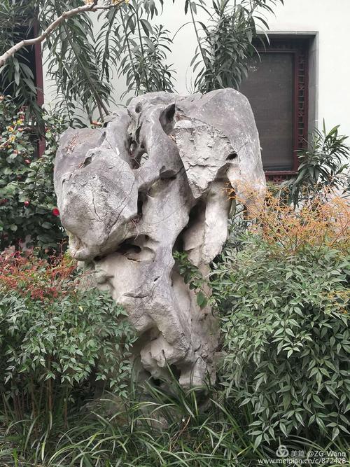 江南四大名园之瞻园里的太湖石(部分)