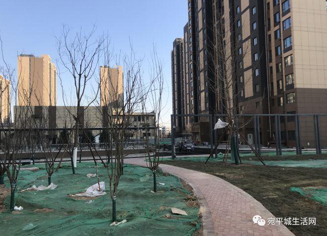 京城雅苑详情抢先看小区配套小学和养老院什么样全地下停车配比11