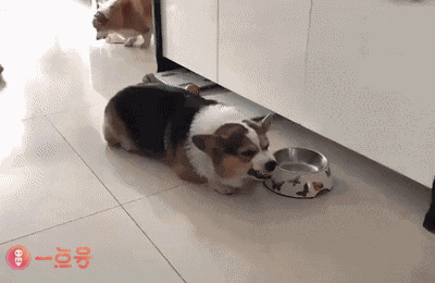 搞笑动态图:一场球赛转播,竟看出了3d电影的感觉