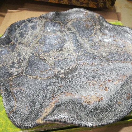 果盘珊瑚化石古生物化石原石奇石矿石宝石观赏石收藏