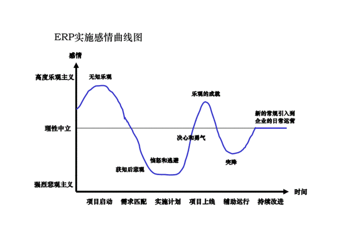 erp实施感情曲线图pdf16页