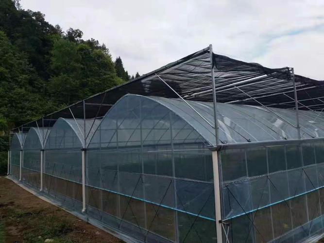 楚雄市连栋大棚625简易大棚