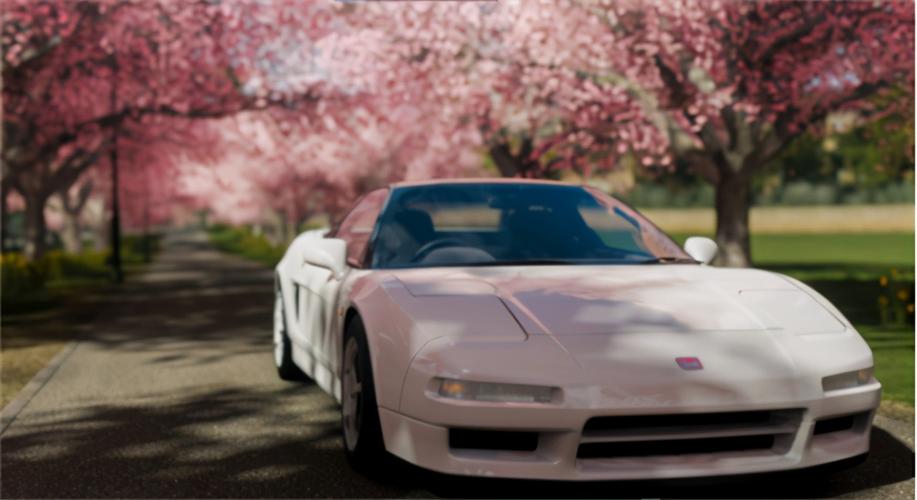 地平线4樱花小道在哪里地平线4樱花在哪里看