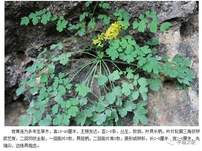 我和我的祖国四十年间的两次家访