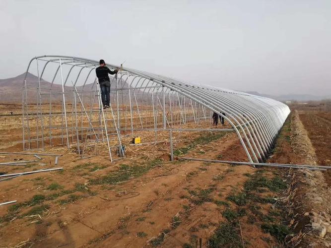三原温室大棚搭建厂家安装一站式服务