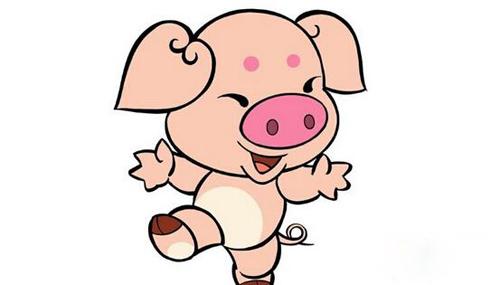 2016属猪人的财运 财运算命