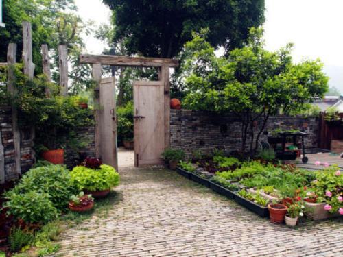 厦门90后小姑娘徒手改造20年无人住的老院荒废小院成网红小院