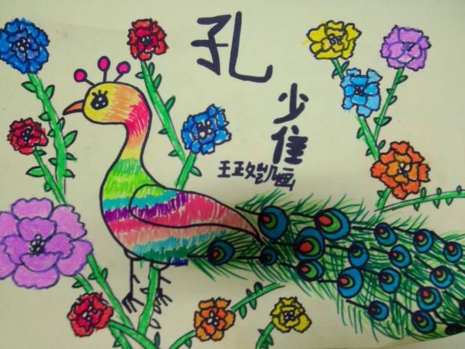 美丽的孔雀