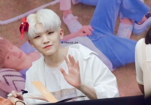 如何评价seventeen的李知勋(woozi)?