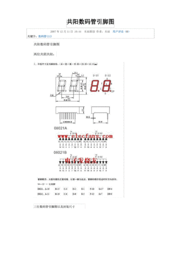 二位共阳数码管引脚图.pdf 5页
