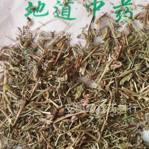中药材消山虎 刺苞斑鸠菊 紫花地丁 搜山虎