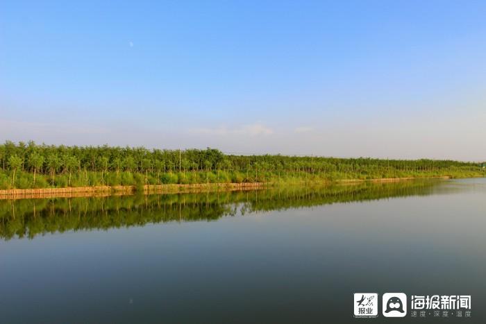 i东营·影像|山东垦利天宁湖国家湿地公园景色宜人